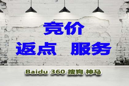 百度广告竞价策略详解：某电商平台的成功案例